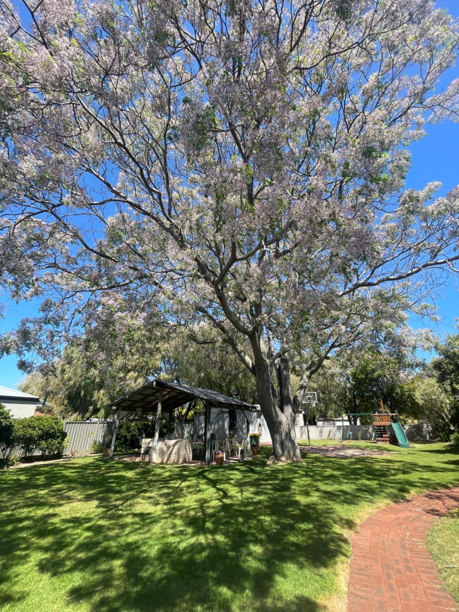 Busselton Jetty Chalets Hotel Buitenkant foto